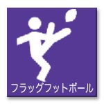 menu_icon_flugfootball